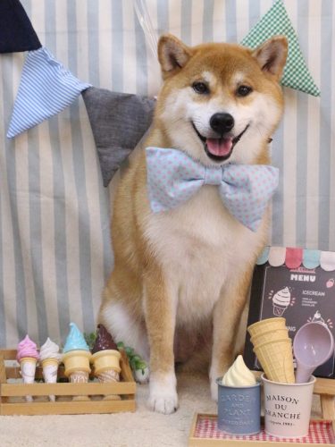 20250523マロンちゃん